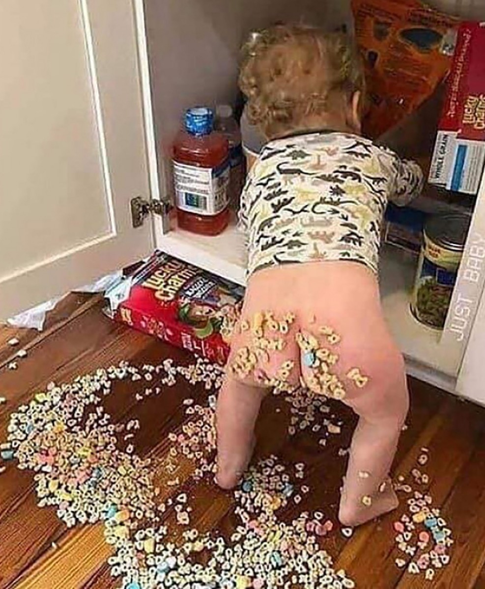 It was easy to get to the bottom of who the cereal thief was in this home