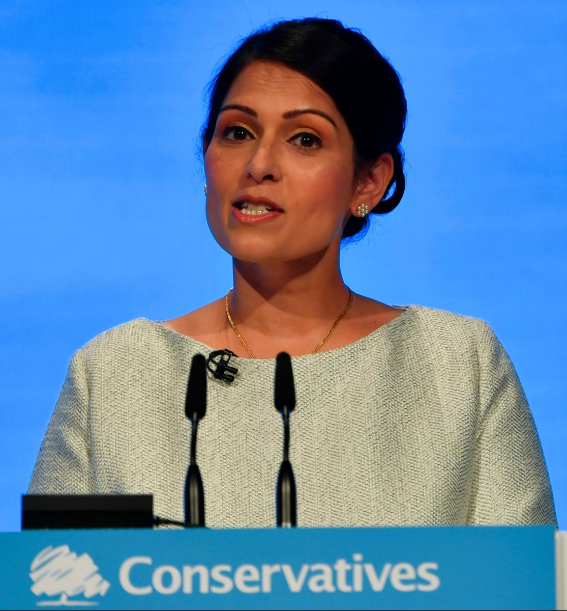 Priti Patel has said the proposed immigration system will allow Britain to control number while remaining open to vital professions like nurses