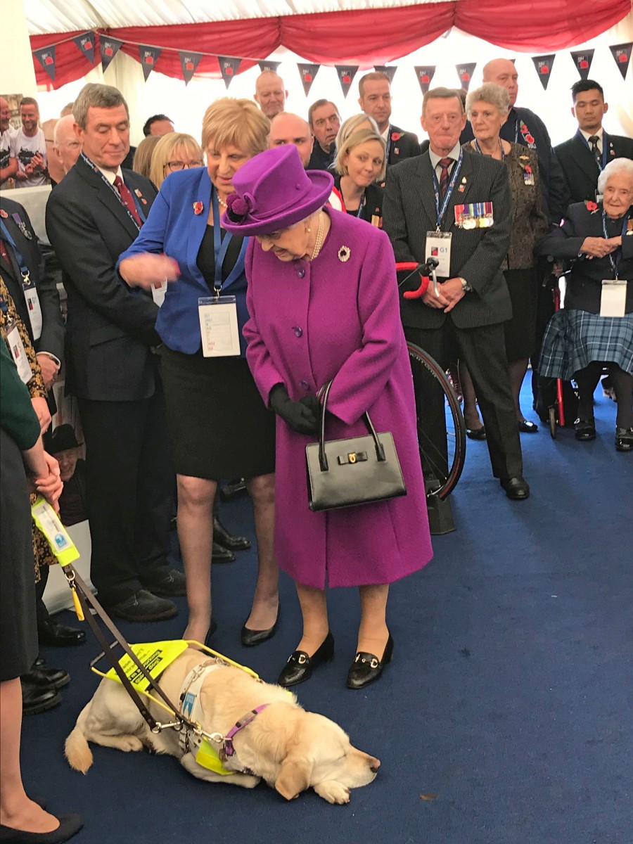 The Queen is all smile as she meets a service dog during