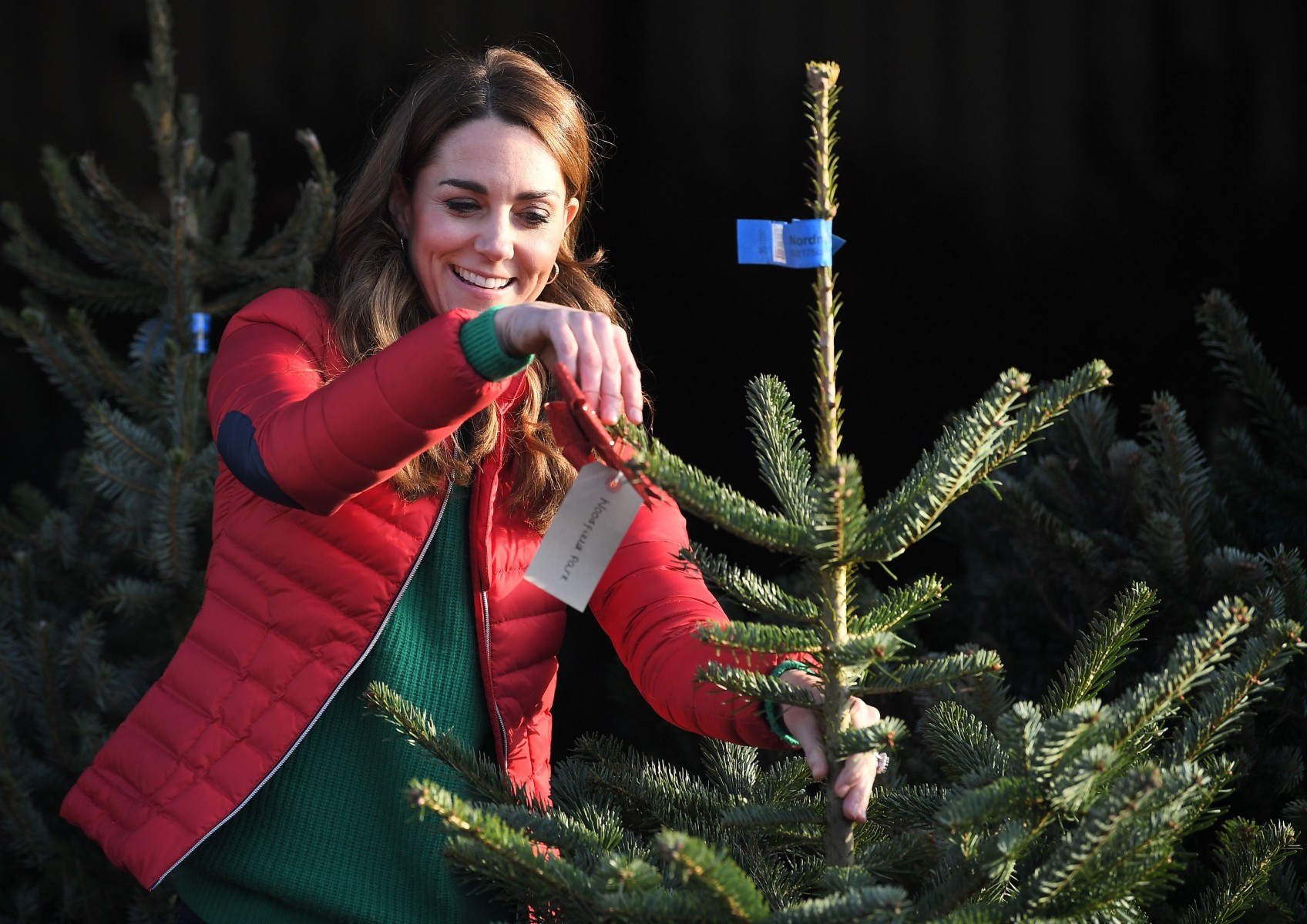 Kate Middleton inspects a Christmas tree during the visit