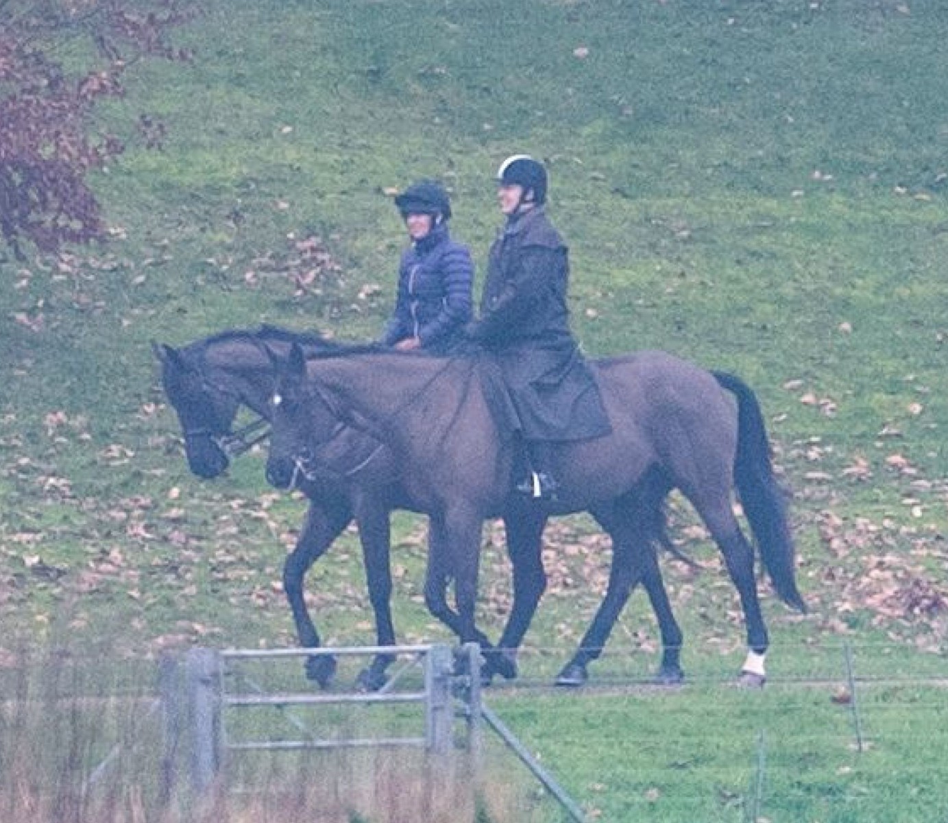 Prince Andrew riding a horse with a friend