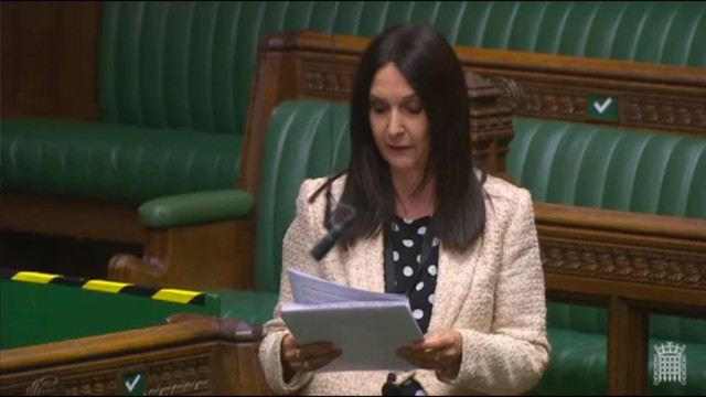 Ms Ferrier spoke in the chamber on Monday evening - despite having Covid-19 symptoms