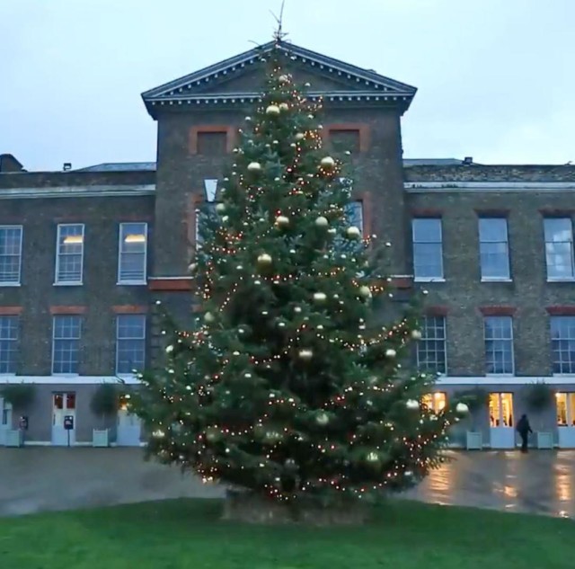  This is the sparkling Christmas tree that marks the start of the royals' Christmas at Kensington Palace