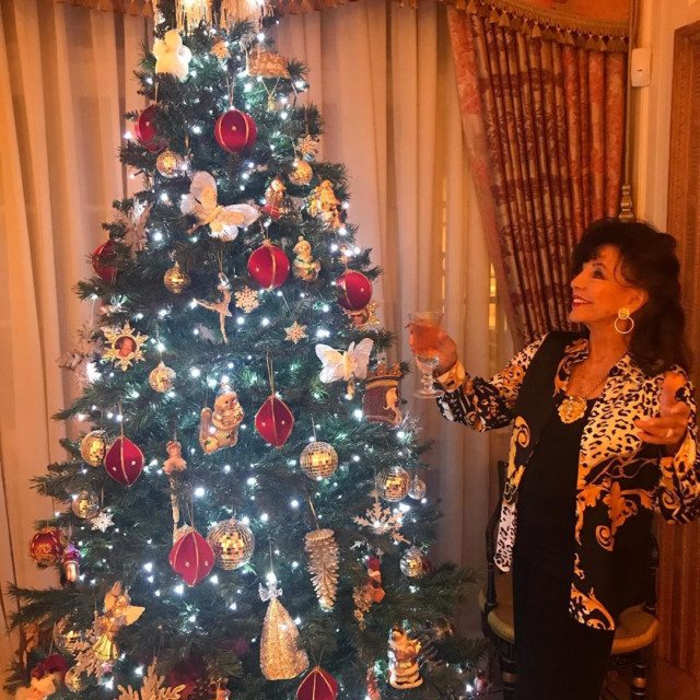Dynasty actress Joan Collins has already put up her tree