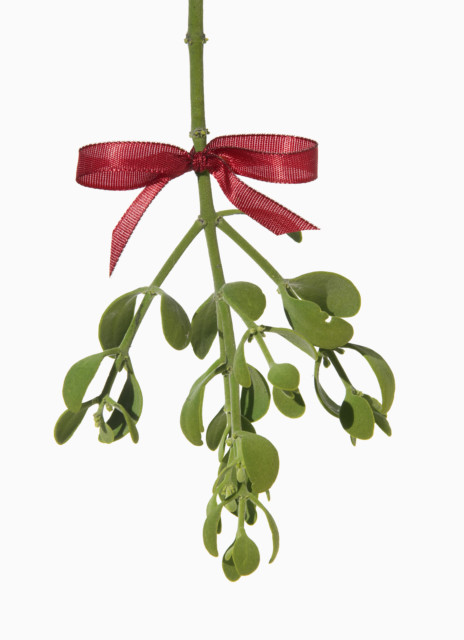  It's traditional to kiss under the mistletoe at Christmas