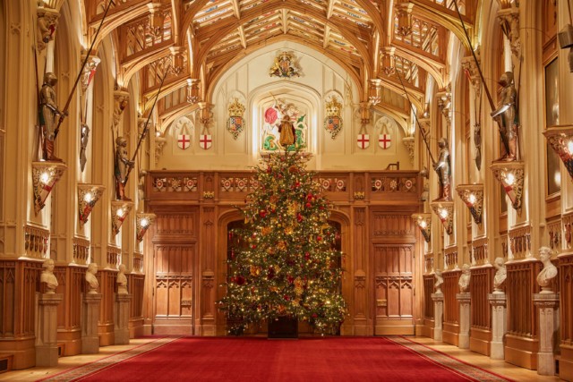Windsor Castle has already been decorated for the festive season, including the erection of this 20-foot tree