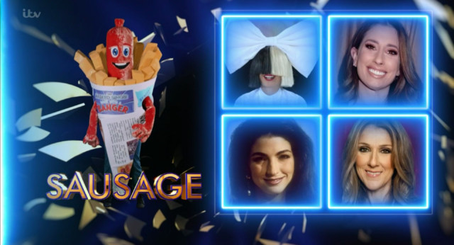 Some of the judge's guesses - including Sia and Celine Dion
