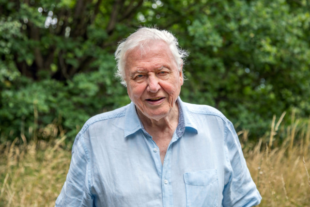 Sir David Attenborough will drum up global support for the COP26 summit in November