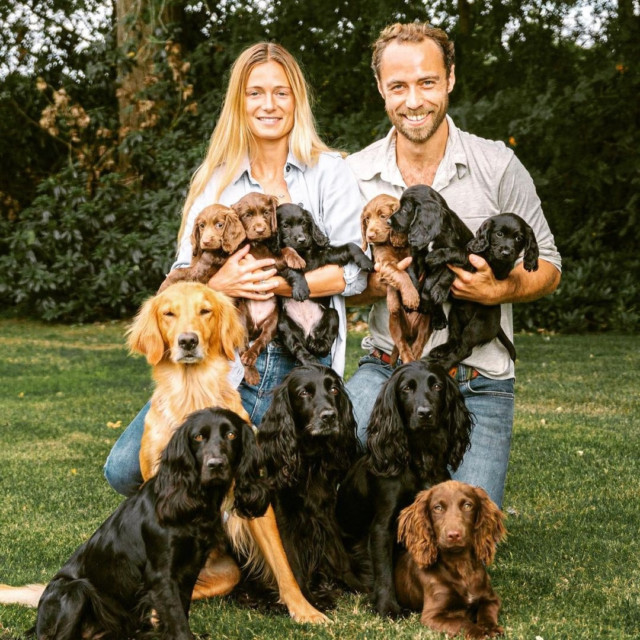 The couple share six dogs together