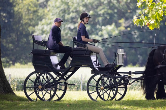 Louise Wessex was seen driving her late grandfather's carriage at Windsor Castle