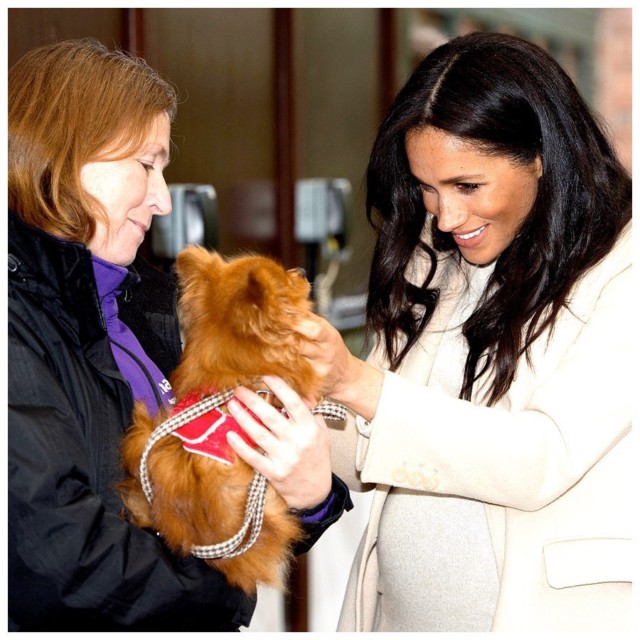 Meghan Markle and Prince Harry shared this adorable snap of her visiting the Mayhew Animal Home to raise awareness of the charity
